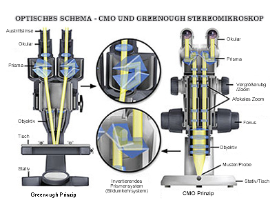 Vergleich des Aufbaus von Greenough- und CMO-Stereomikroskopen